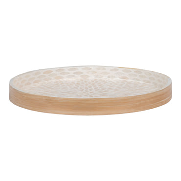 TRAY 4401554