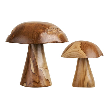 Dekoratīvie sēnes KODI 4501180