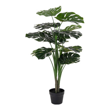 MONSTERA 9501000