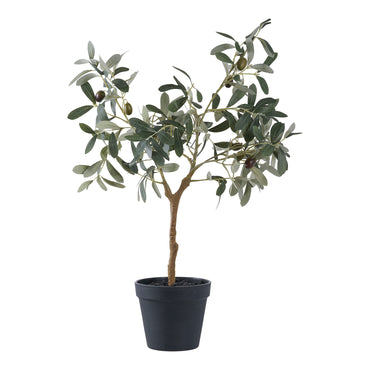 Medis OLIVE 9501002