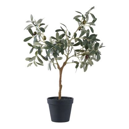 Medis OLIVE 9501002