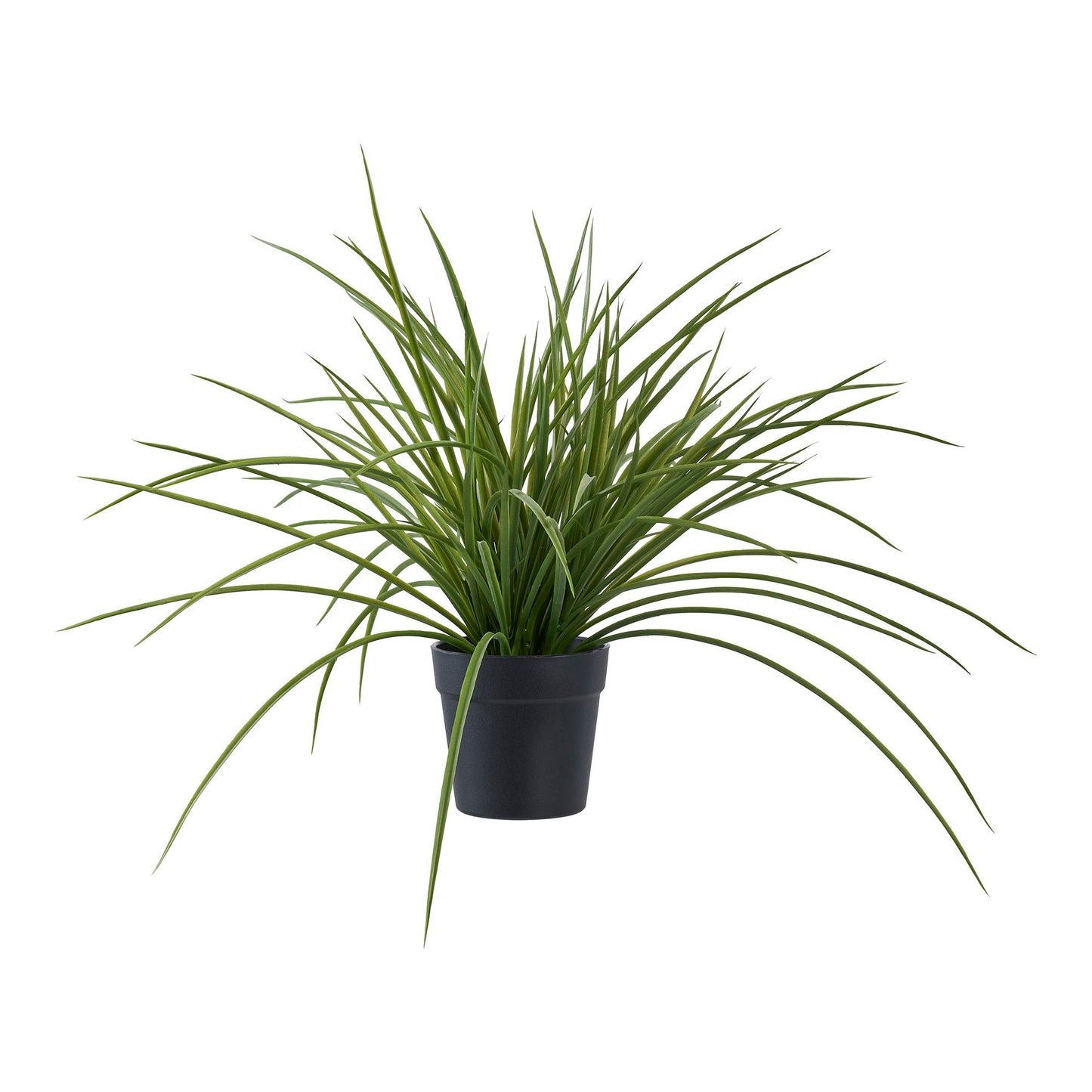 GRASS 9501004
