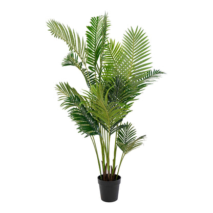Palmė ARECA 9501020