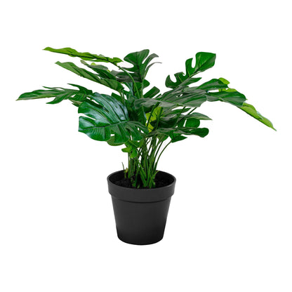 MONSTERA 9501040