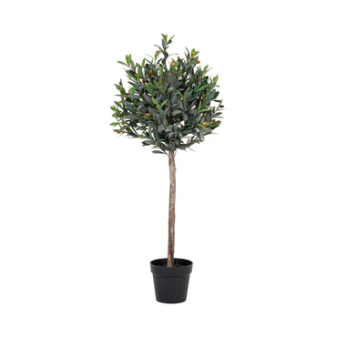 Medis OLIVE 9501060