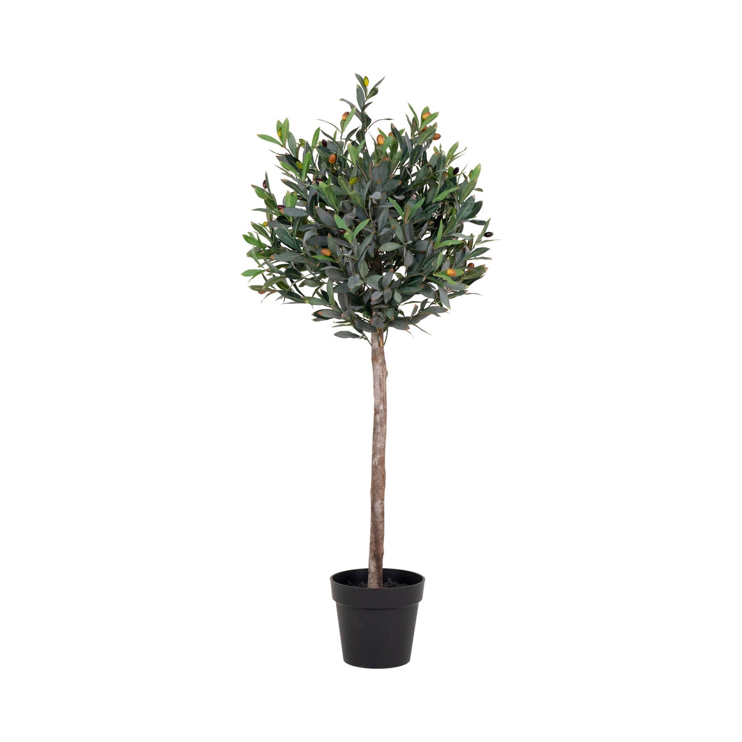 Medis OLIVE 9501060