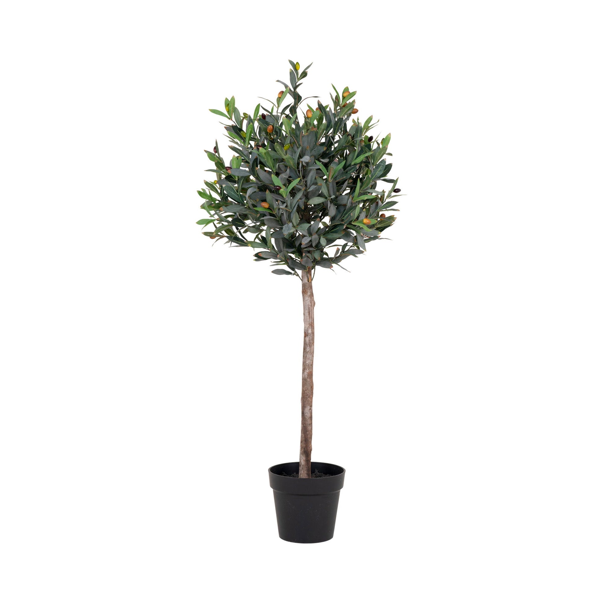 Medis OLIVE 9501060