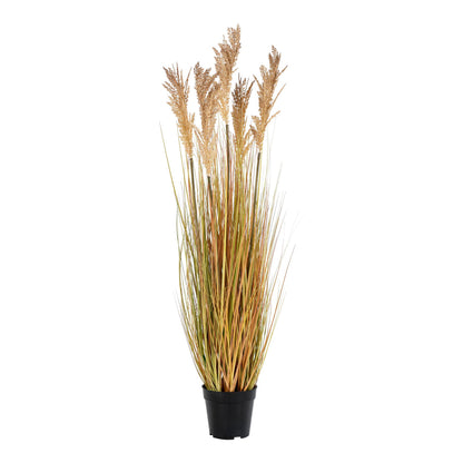 Zāle SORGHUM 9501070