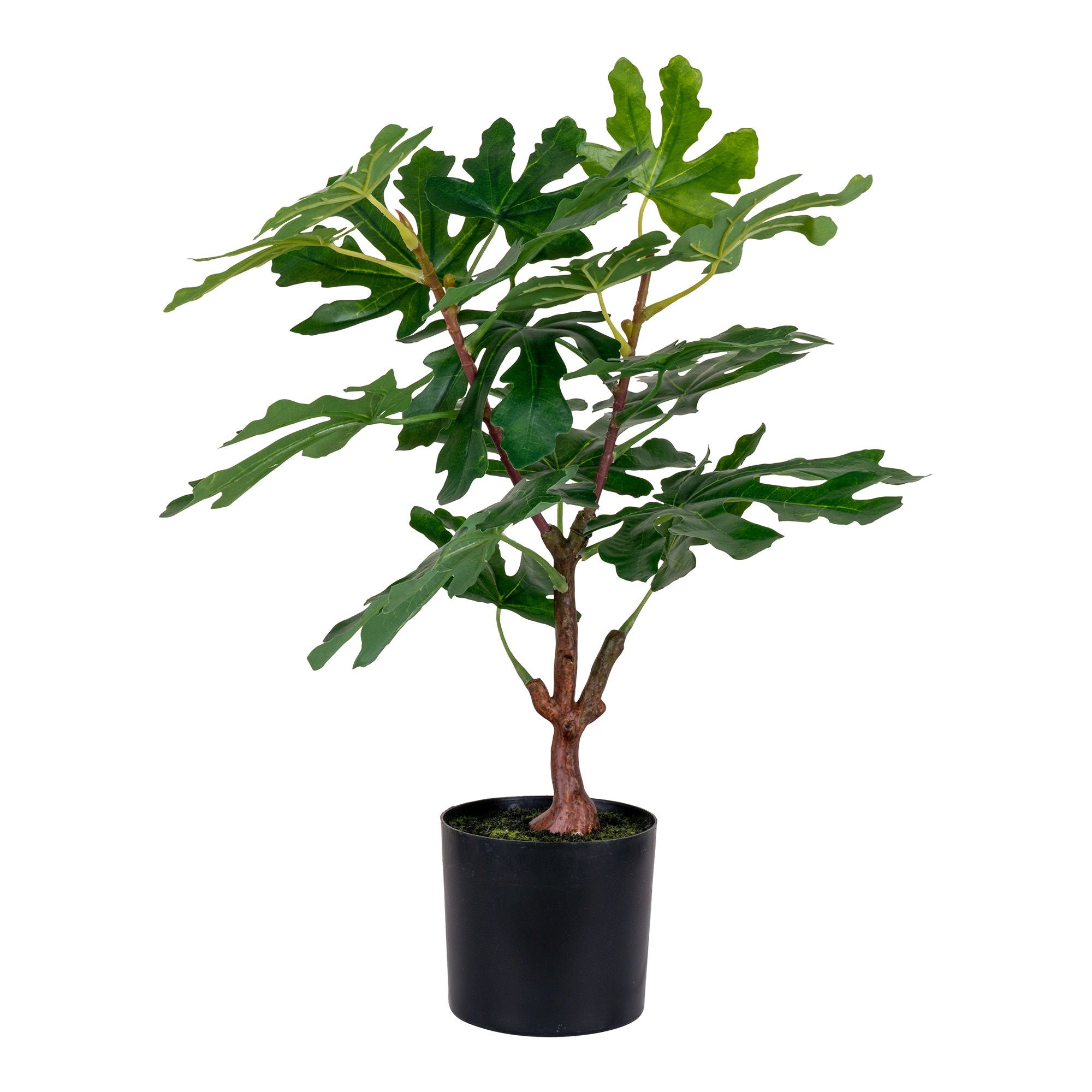 Koks FIG 9501110