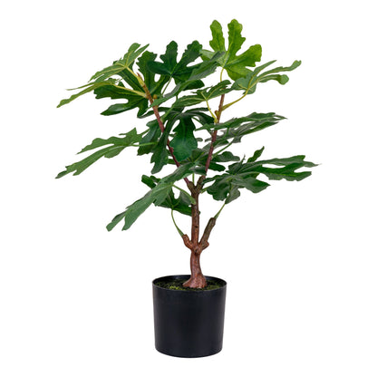 Medis FIG 9501110