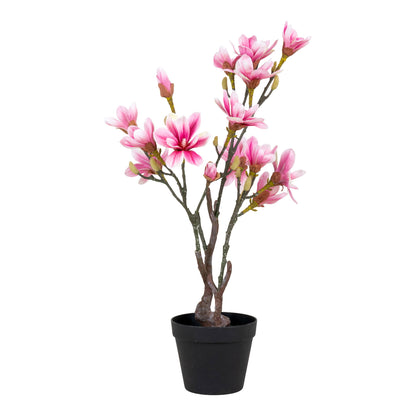 Koks MAGNOLIA 9501130