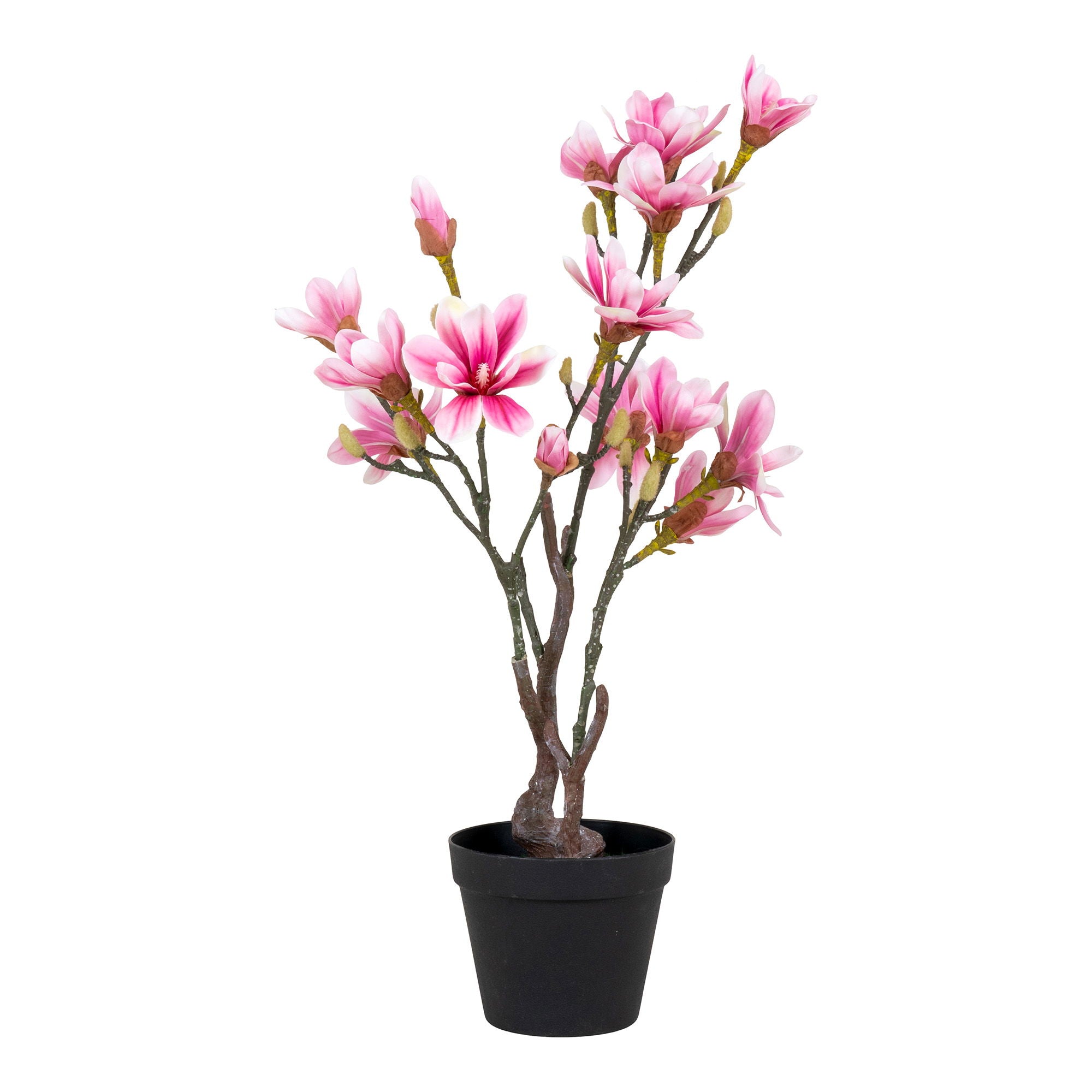 Koks MAGNOLIA 9501130