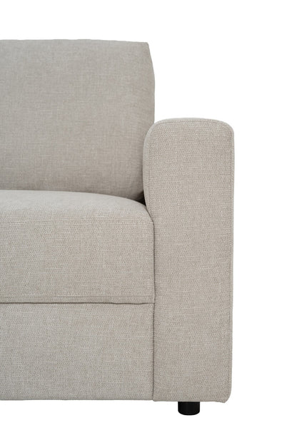 Sofa DEN (Dvigulė)