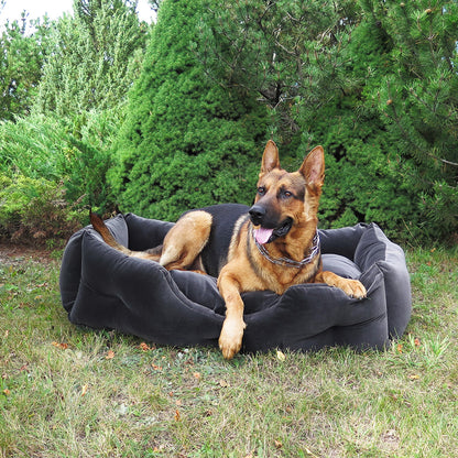Mājdzīvnieku gulta PET BED L