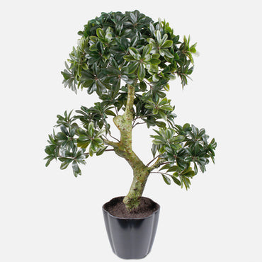 Mākslīgais augs BONSAI