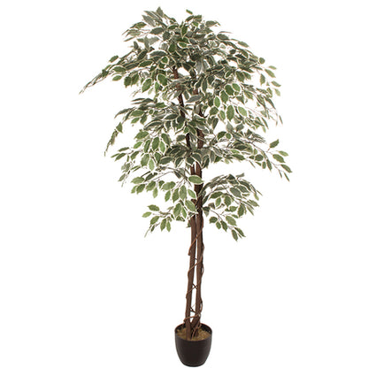 Tehisplant FICUS 1.80m