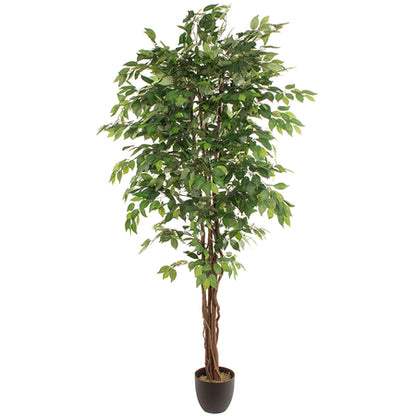 Mākslīgais augs FICUS 2.20m