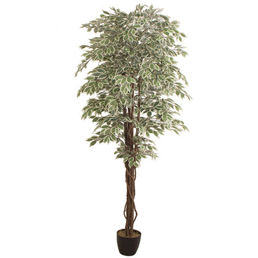 Mākslīgais augs FICUS 2.40m