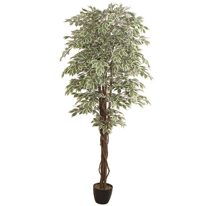 Mākslīgais augs FICUS 2.40m