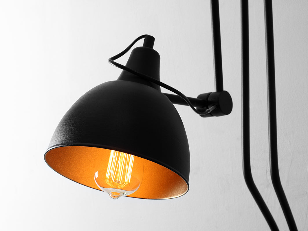 Lamia Lampa (sienas)